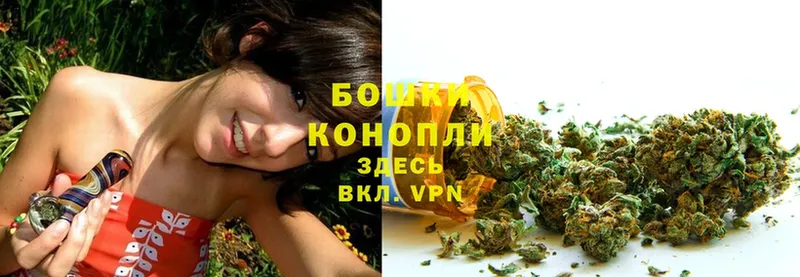 Бошки Шишки SATIVA & INDICA  где продают наркотики  Полярные Зори 